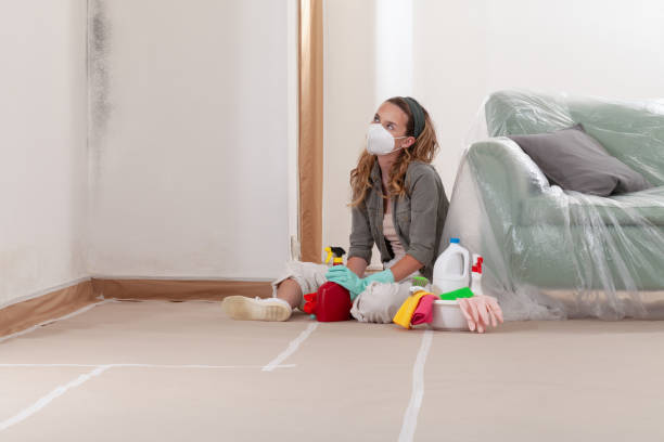 Reliable Mold Removal contractor in Edgewater, FL by WQB Mold Removal